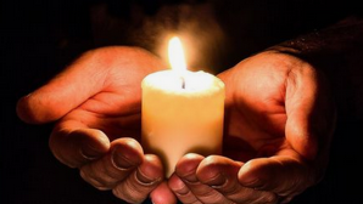 Screenshot 2024-11-14 114709